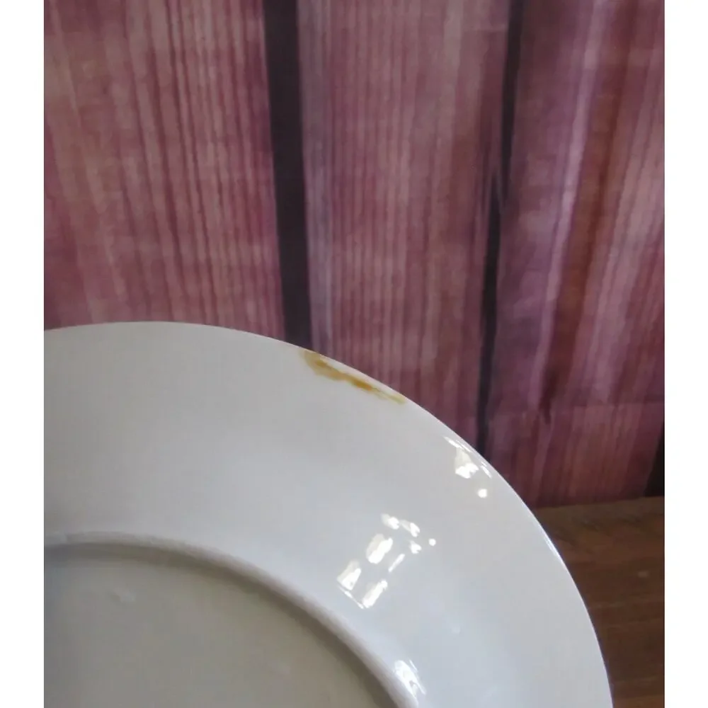 Royal Norfolk Gather Pumpkin Fall Salad Plates 7.5
